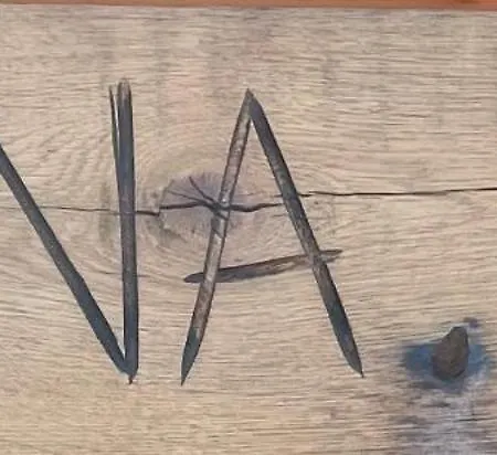 Leśna Oaza Willa *